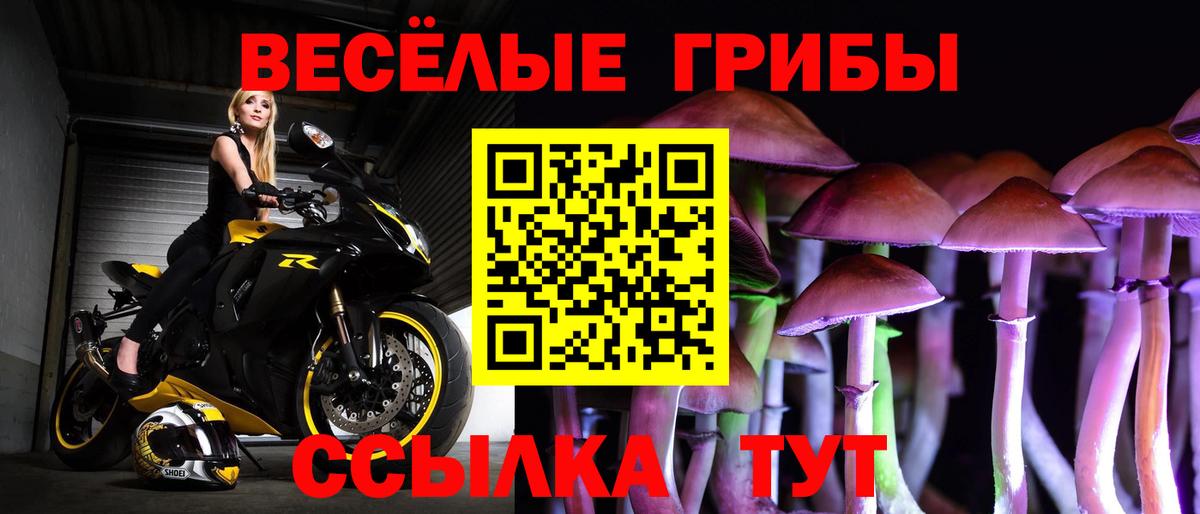 Зерноград  Галлюциногенные грибы Psilocybine cubensis  Галлюциногенные грибы MAGIC MUSHROOMS  Вход с VPN 